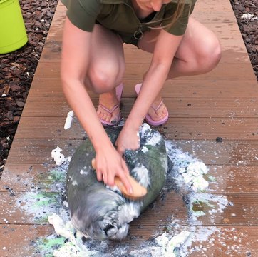 Une astuce simple pour nettoyer les vieux jouets qui vous étonnera !