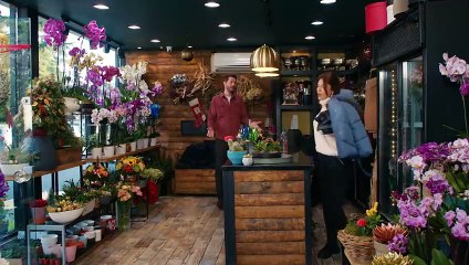 مسلسل التفاح الحرام 6 الموسم السادس الحلقة 38 مدبلجة