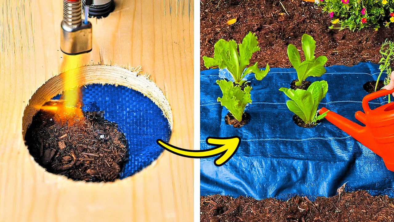 101 DIY Gardening Hacks and Tips to Maximize Space. Create Ultimate Outdoor Oasis