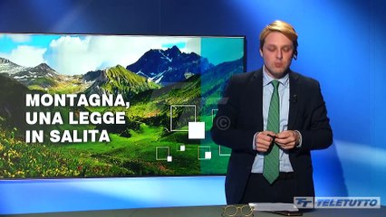 Tg Preview - Puntata del 12/11/2024