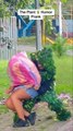 The Plant Prank 😂 Funniest Reactions You’ll See Today! #PlantPrank #FunnyVideo #LaughOutLoud