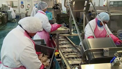 Immigration How British Politics Failed S01E01