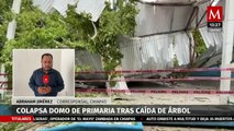 Colapsa domo de primaria tras caída de árbol de más de 20 metros en Tuxtla Gutiérrez, Chiapas