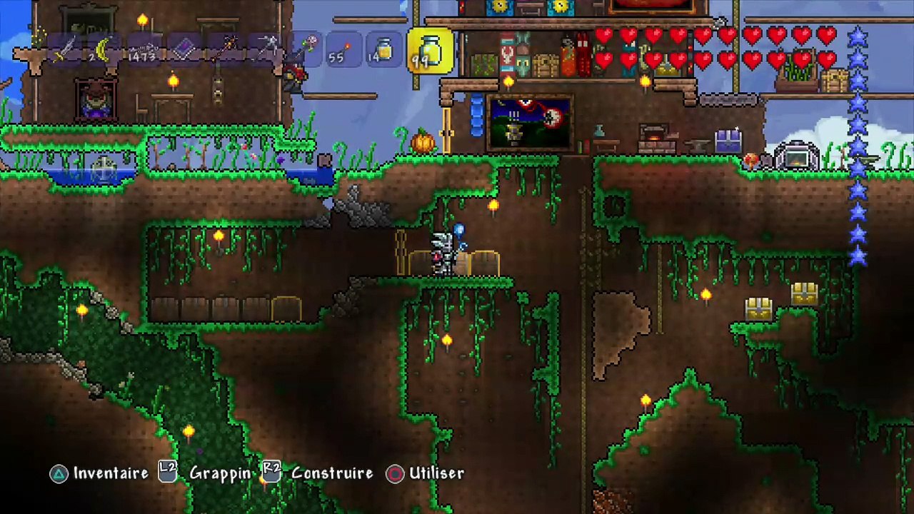 Terraria online multiplayer - ps3