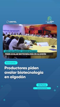 Productores piden avalar biotecnología en algodón