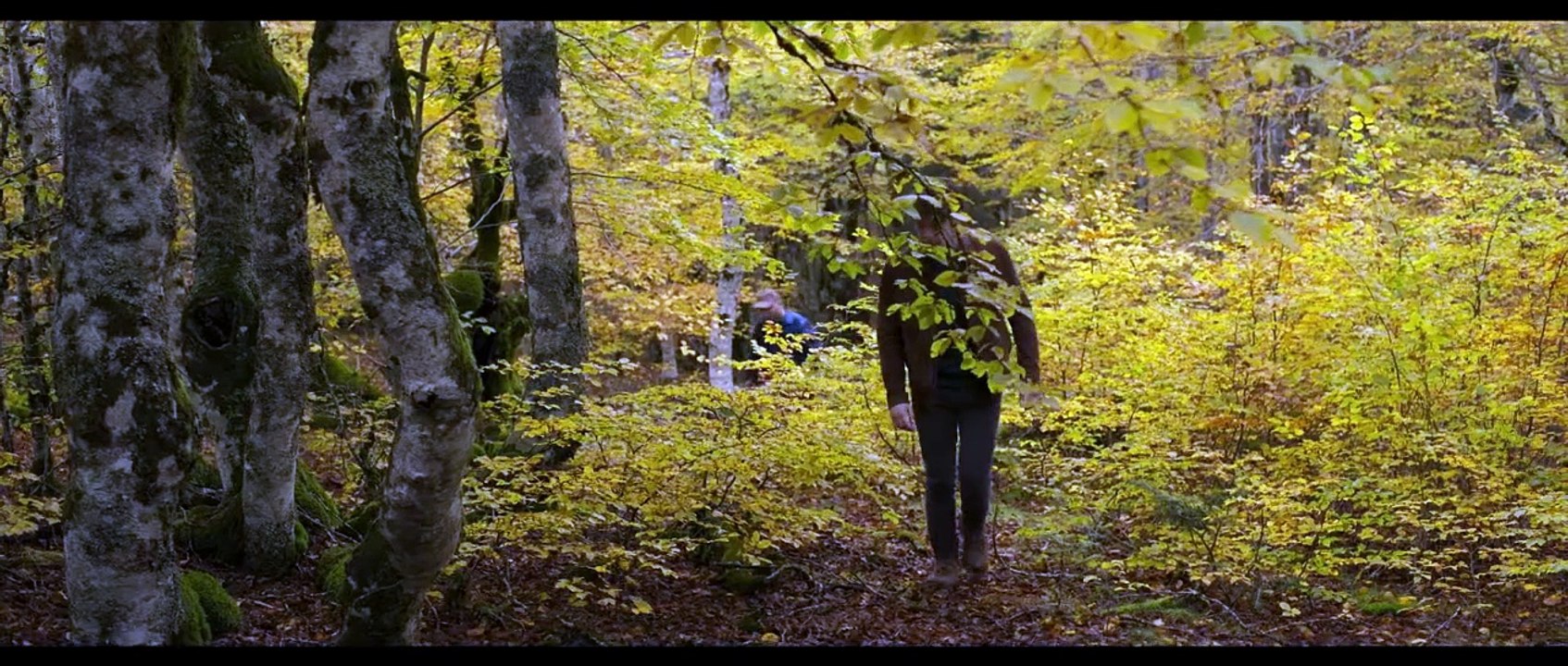 Misericordia | movie | 2024 | Official Trailer