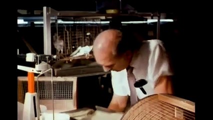 RATTLERS_ SNAKE ATTACK Exclusive Full Sci-Fi Movie Premiere English HD 2024