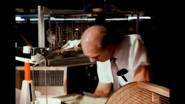 RATTLERS_ SNAKE ATTACK Exclusive Full Sci-Fi Movie Premiere English HD 2024