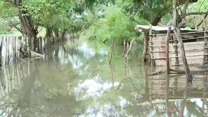 tn7-Ganaderos y agricultores piden ayuda ante graves emergencias en Guanacaste-121124