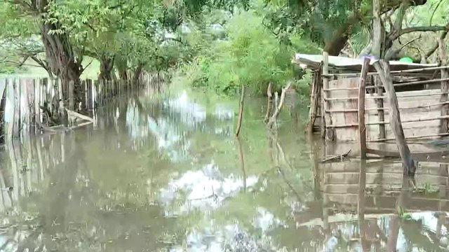tn7-Ganaderos y agricultores piden ayuda ante graves emergencias en Guanacaste-121124