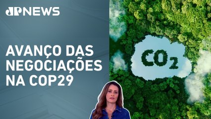 Brasil pode liderar mercado de carbono unificado; Patrícia Costa analisa