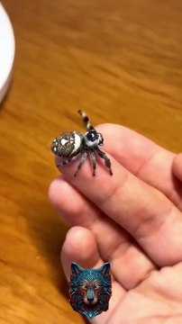 Before & After Animals Growing Up |Nature's Beautiful Animals Evolution💥Shorts#animals #viralvideo