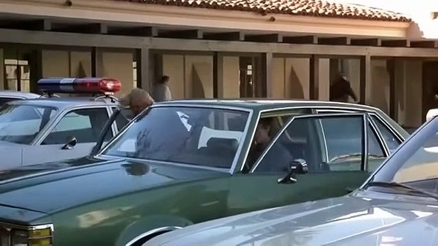 Pelicula Fuerza 7 Chuck Norris y Bill Wallace - A Force of One