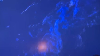 Coronation street classic Gail feels guilty for putting her family in danger