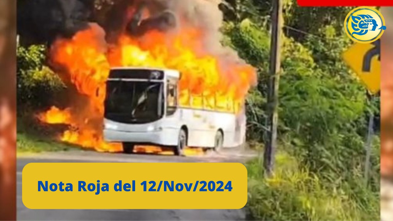 Breves Policiacas del 12 de Noviembre