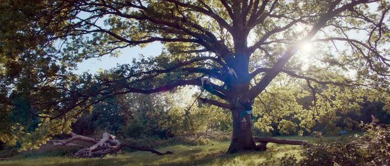 Bridget Jones - Un amore di ragazzo (Trailer Italiano HD) ⭐️⭐️⭐️½