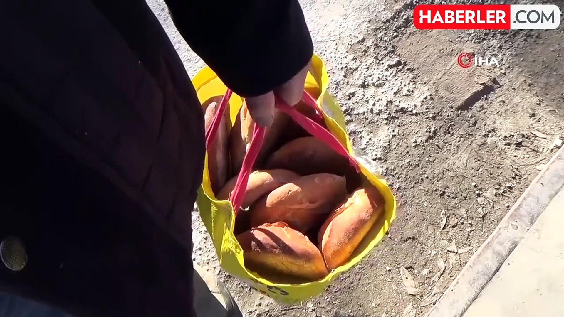 Kışın Habercisi Yaban Ördekleri Bayburt'ta