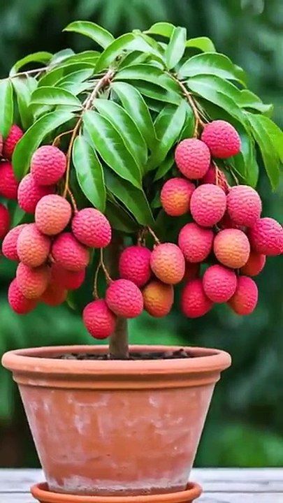 .simple plants