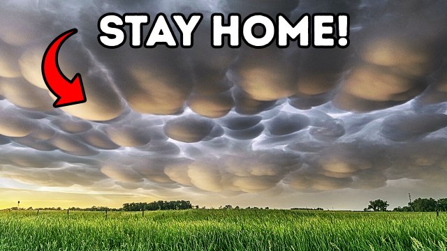 100 Tips for Situations That Require Quick Thinking