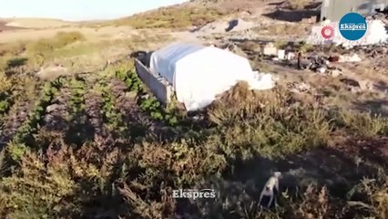 Diyarbakır’da ilk kez dron gören köpek şaşkına döndü