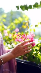 Ossm Mishu Vol 2 best place to buy kurtis in india for business