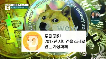 美 개혁 칼 쥔 일론 머스크…‘정부효율부’ 수장 발탁