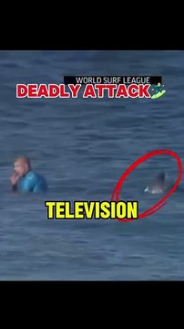 Surfer Gets Attacked by Shark! Live #Viralvideos #Surf #Ocean #Waves #Beach #Fishing