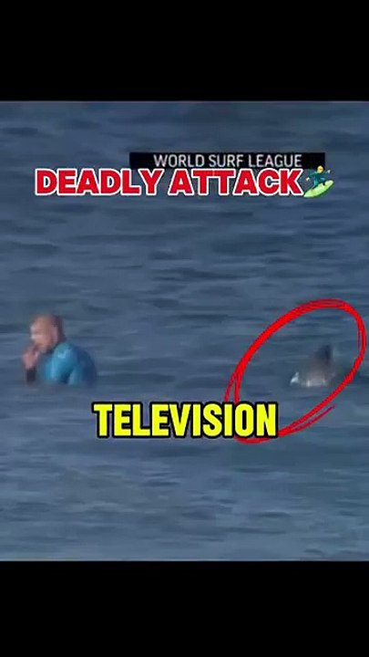 Surfer Gets Attacked by Shark! Live #Viralvideos #Surf #Ocean #Waves #Beach #Fishing
