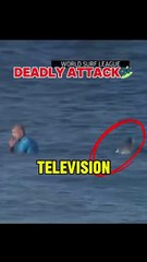 Surfer Gets Attacked by Shark! Live #Viralvideos #Surf #Ocean #Waves #Beach #Fishing