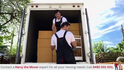 Elevate Your Experience with Australia’s Premium Movers 🚚 | Harry The Mover