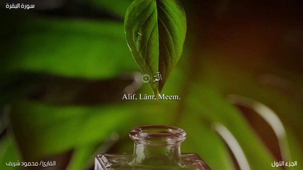 تلاوة من سورة البقرة | سبحان من جعل في سماع القرآن راحة للقلوب (تلاوة مليئة بالهدوء والخشوع)