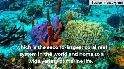 The Beaches the World Our Picks - TripAdvisor and Booking