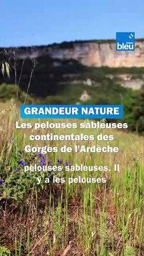 Les pelouses sableuses des Gorges de l'Ardèche sous la loupe