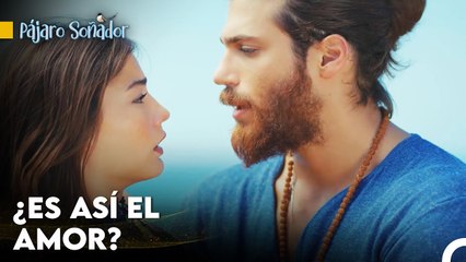 Mi Corazón Se Detuvo Cuando Te Vi - Pájaro Soñador