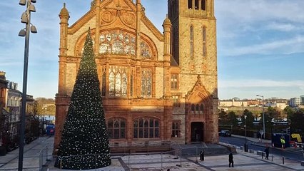 Christmas trees across Derry