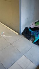 dove c'è stazione c'è casa