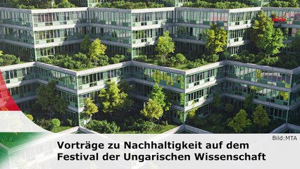 hallo ungarn – Kurznachrichten am 13.11.2024