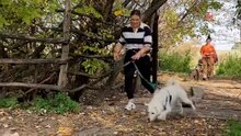 El refugio organiza una jornada de adopción: nadie viene a ver a los perros y toman una decisión radical