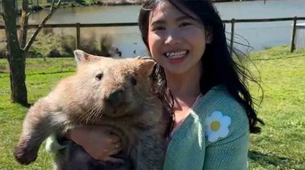 Turistien kiistanalainen käyttäytyminen eläintarhassa herättää keskustelua 🐾