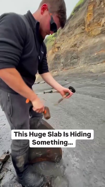 What Will Be INSIDE This HUGE Slab! 😱🐊🦖🔨