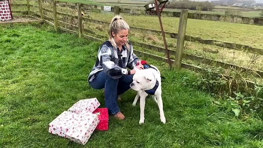 Gemma Atkinson Bleakholt Kittens The Celebrities Inc Those With