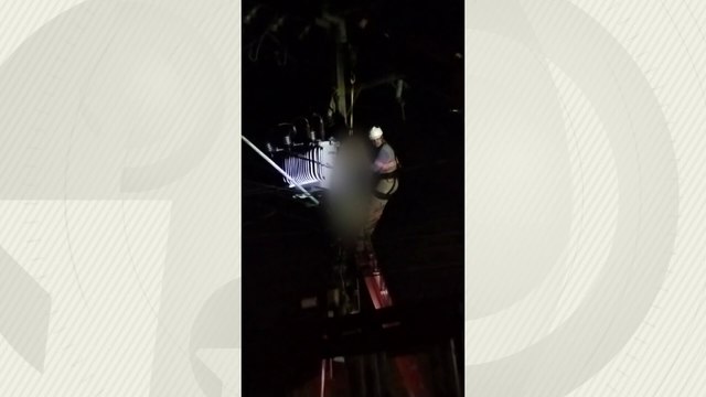 Vídeo mostra trabalhador pendurado em poste após sofrer descarga elétrica em Palmeira dos Índios