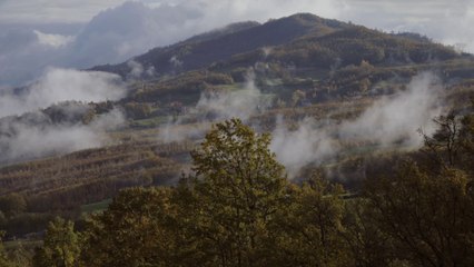 Parmigiano Reggiano di Montagna