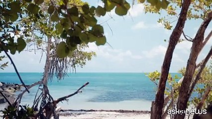 Calendario Pirelli 2025: da Elodie a Vincent Cassel, ritorno alla sensualità