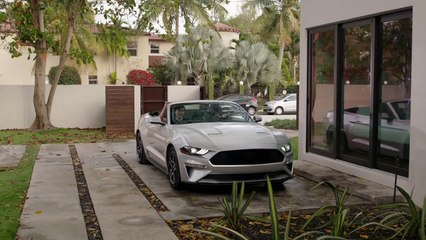 Sinister Seduction.2019