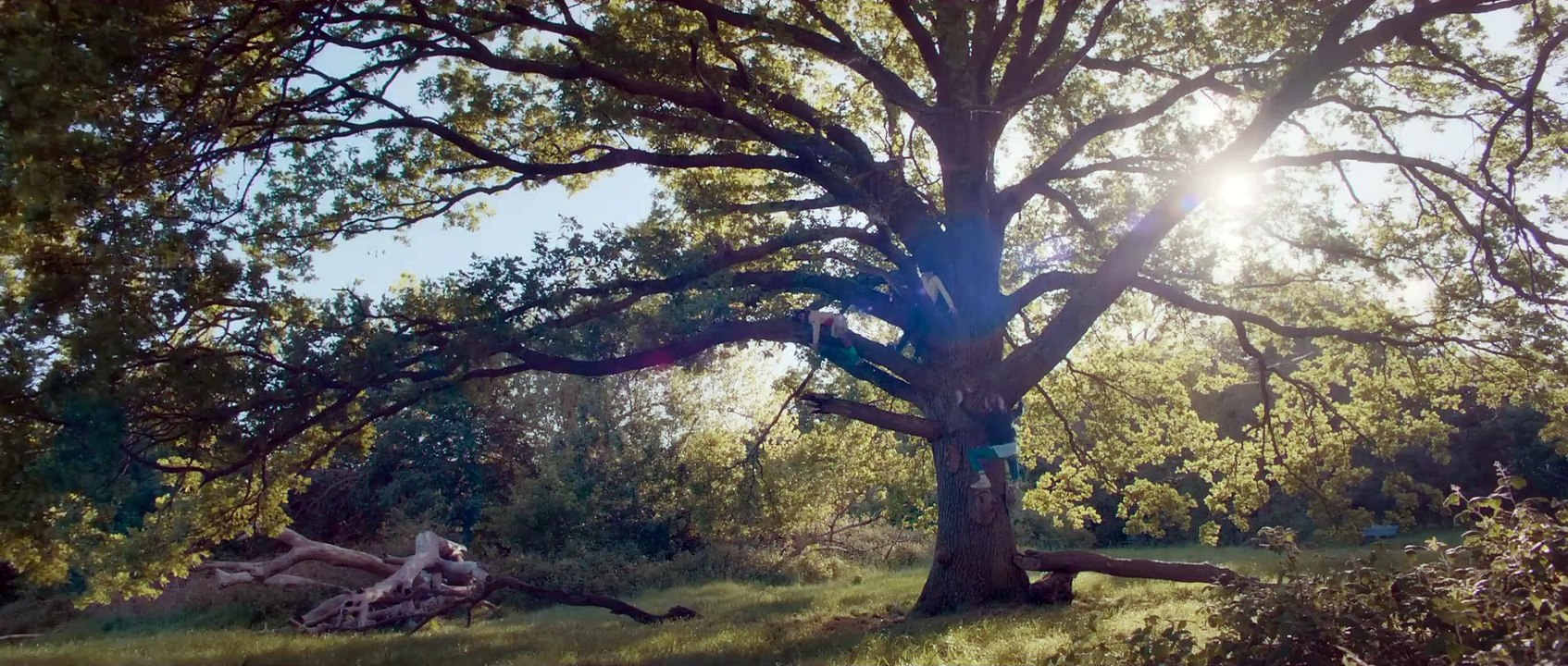 BRIDGET JONES VERRÜCKT NACH IHM Film