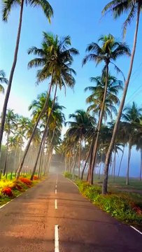 pemandangan yang indah 2