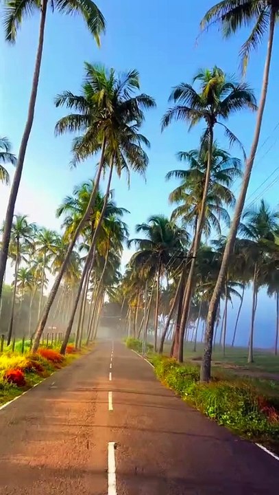 pemandangan yang indah 2