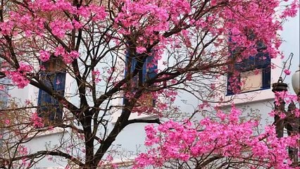 99 NAMES OF ALLAH IN URDU TRANSLATION!