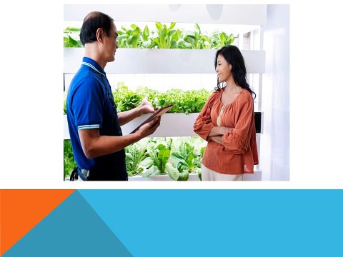 Building a Greener Future: Ang Chong Yi Singapore Sustainable Dining Vision for Singapore